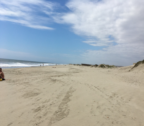 gallery/2019 june 354